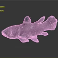 Distinctive Purple Spotted Fish With Blue Fins And Shiny Scales