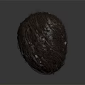 Realistic Human Head Mannequin With Brown Short Textured Hair Style Example
