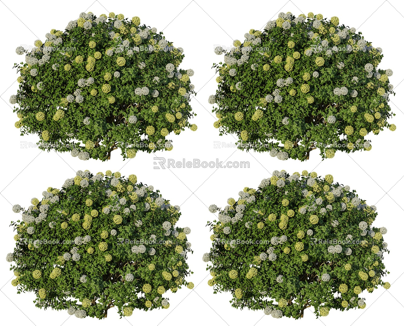 fragrant yellow Disspruika flowering shrubs yellow flowers shrubs plants courtyard flowering fragrant shrubs green plants 3d model