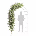 Decorative Flowering Vines On Archway And Wall With Ladder And Silhouette