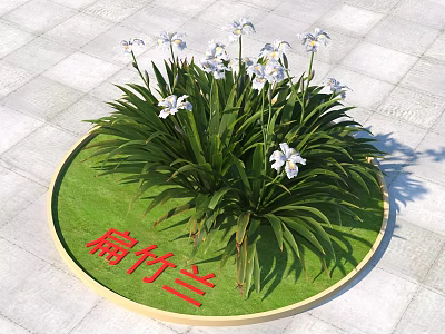 Iris Confusa With White Flowers And Green Leaves On Circular Lawn With Red Character Sign 3d model
