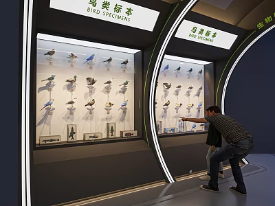 Detailed Bird Specimens in Exhibition Display Case with People Viewing 3d model