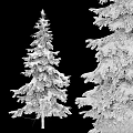 Three Snow Covered Evergreen Trees With White Snow On Green Branches 3d model