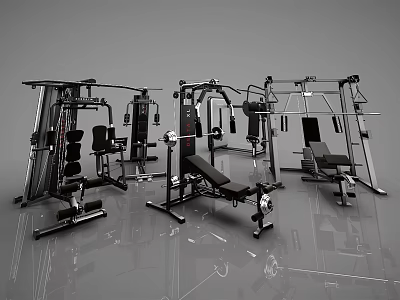 Gym Sports Equipment Including Weight Benches Multi Functional Trainers And Dumbbell Racks 3d model