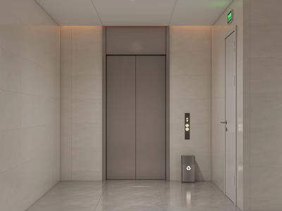 Modern Elevator Lobby Design With Light Colored Walls Gray Door Smooth Flooring And Exit Light 3d model
