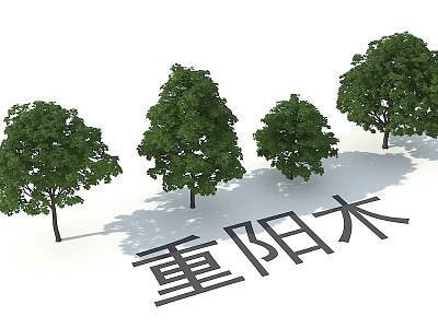 Chung Yeung Wood 3d model Chung Yeung Wood 3d model