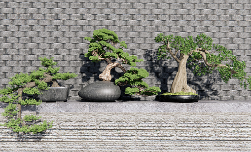 New Chinese potted pine potted plant 3d model