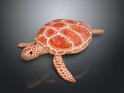 Red Sea Turtle Marine Animal With Detailed Shell Pattern And Webbed Flippers 3d model