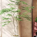 Indoor Decorative Potted Plants With White Ceramic And Metallic Containers In Bright Interior