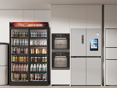 Modern Kitchen Interior Design With Smart Refrigerator And Drink Cooler For Organized Beverage Storage 3d model