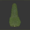 Five Different Shaped Plants on Black Smooth Surface with 3D Model Appearance and Varied Heights
