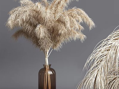 Brown Glass Vase With Dried Pampas Grass Flowers For Interior Decoration Arrangement 3d model