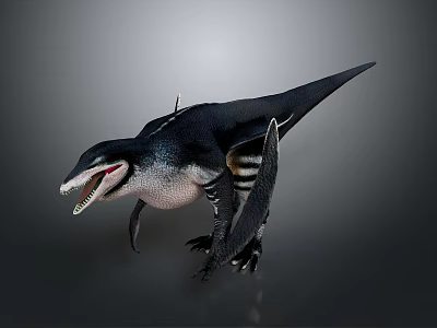 Realistic Pterosaur Dinosaur 3D Model With Spread Wings Sharp Teeth And Black White Body 3d model