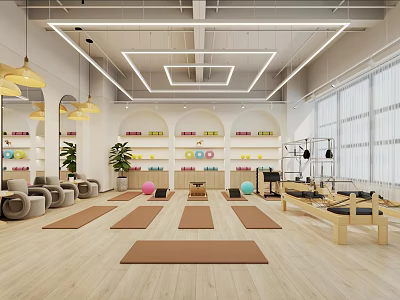 Bright modern fitness studio with yoga mats Pilates reformers green plants and colorful exercise balls 3d model