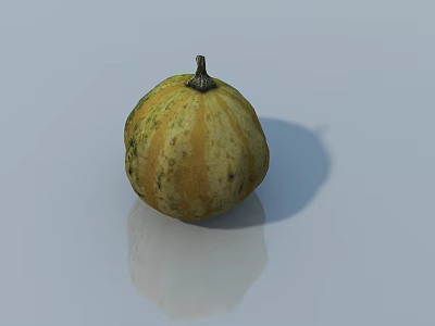 Fresh Yellow Green Textured Pumpkin Vegetable with Smooth Surface Reflection 3d model