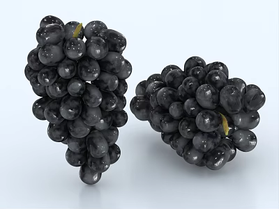 Juicy Fresh Ripe Black Grapes Two Bunches On White Background 3d model