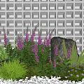 Lush Ground Cover Plants With Purple Flowers Green Ferns Stone Accents Against Grid Pattern Background