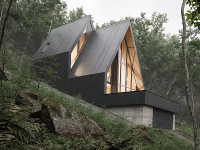 Modern Detached Villa With Sloped Roof And Large Windows On Wooded Hillside 3d model