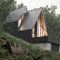 Modern Detached Villa With Sloped Roof And Large Windows On Wooded Hillside