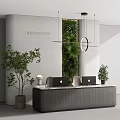 Modern Reception Desk With Green Living Wall Hanging Pendant Lights And Laptops