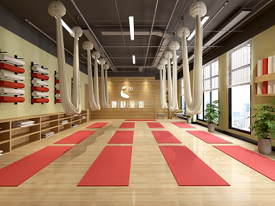 Spacious Yoga Studio With Red Exercise Mats Hanging Hammocks And Wooden Floors 3d model