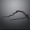 Curved Dried Tree Branch With Twisted Shape And Branches On Dark Background