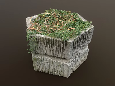 Green Plants and Moss Growing in Hexagonal Stacked Stone Planter with Textured Surface 3d model