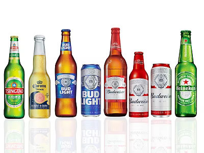 Variety of Branded Beer Bottles Neatly Displayed in a Row 3d model