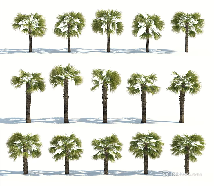 Multiple Arbor Trees Arranged in Rows with Green and White Leaves and Shadows 3d model 