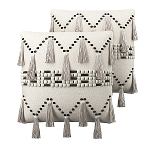 Modern Pillow Tassel Cushion 3d model