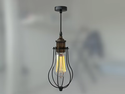 Industrial Vintage Pendant Light With Black Metal Cage Frame And Exposed Warm Filament Bulb 3d model