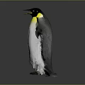 Penguin With Yellow Neck And Black White Feathers Spread Wings On Gray Background
