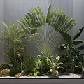 Lush Indoor Green Plants Arrangement With Large Leaves Stones And Pebble Ground