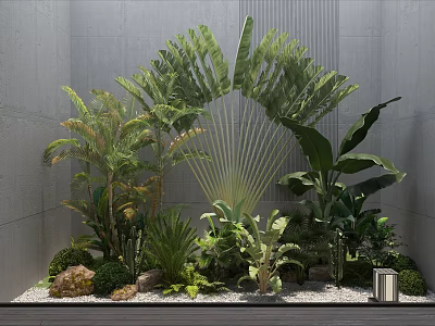 Lush Indoor Green Plants Arrangement With Large Leaves Stones And Pebble Ground 3d model