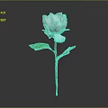 Pink Peony Plant With Green Leaves And Brown Stem On Gray Background