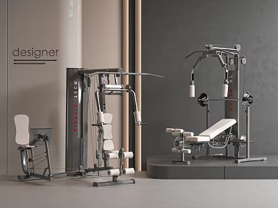 Professional Gym Fitness Equipment With Multi Functional Machines And Training Benches 3d model