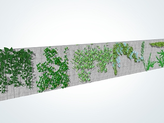 Modern Vines Climbing Wall Plants 3d model