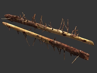 wood stick rotten wood 3d model