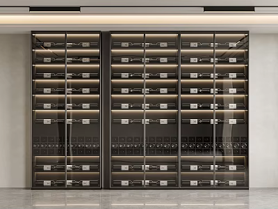 Modern Wine Cabinet Design Featuring Glass Doors Multiple Shelves And Interior Lighting For Wine Storage 3d model