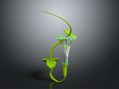 Decorative Green Vine Plant with Curved Stem Green Leaves and White Bloom for Indoor Decoration 3d model