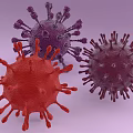 Medical Device For Research Displaying Multiple Spiked Red Purple Virus Structures 3d model