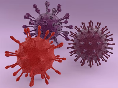 Medical Device For Research Displaying Multiple Spiked Red Purple Virus Structures 3d model