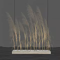 Tall Brown Reeds Against Dark Gray Wall On Light Wood Floor With White Pebbles Around