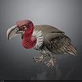 Realistic 3D Rendered Vulture With Red Head White Neck Feathers And Gray Body