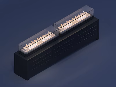Display Shelves With Glass Covers On Dark Cabinets Featuring Illuminated Interior For Items 3d model