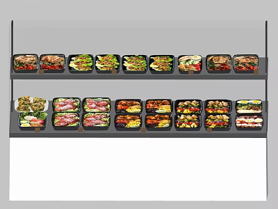 Refrigerator Freezer Interior Storage With Two Layers Of Various Prepared Food Trays 3d model