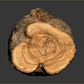 Natural Raw Wood Log Showcasing Detailed Texture And Brown Surface