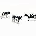 Three Black And White Cows Standing In Open Green Pasture Field