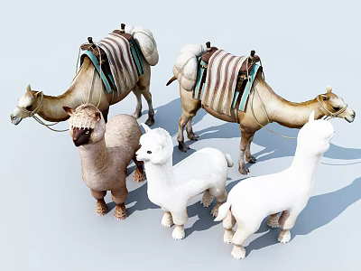 Modern Camel Desert Animals 3d model Modern Camel Desert Animals 3d model
