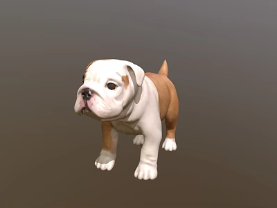 Cute English Bulldog Puppy With White And Brown Coat Standing On Gray Background 3d model